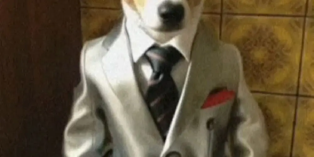 Imagem do grupo de WhatsApp Chads