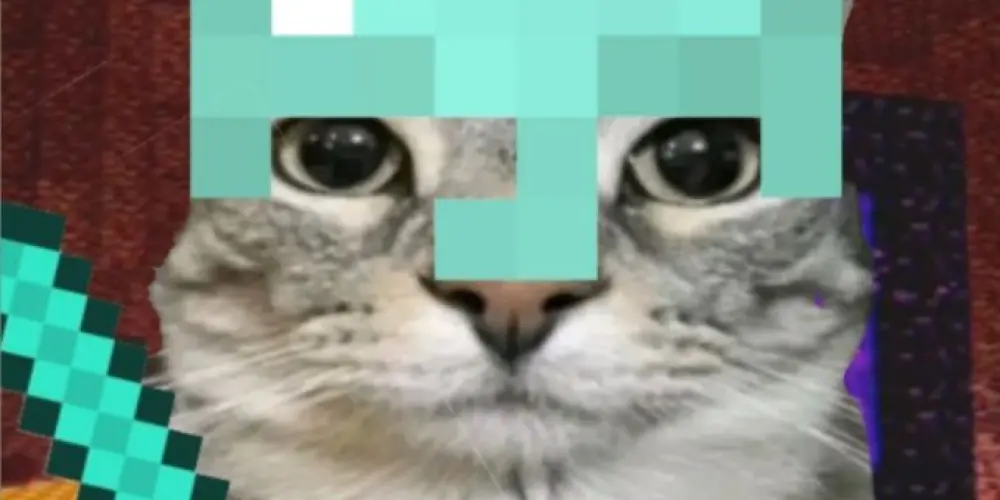 Imagem do grupo de WhatsApp Chads