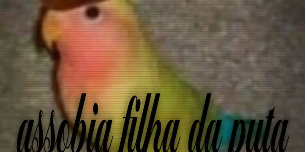 Imagem do grupo de WhatsApp Chama o cachorro