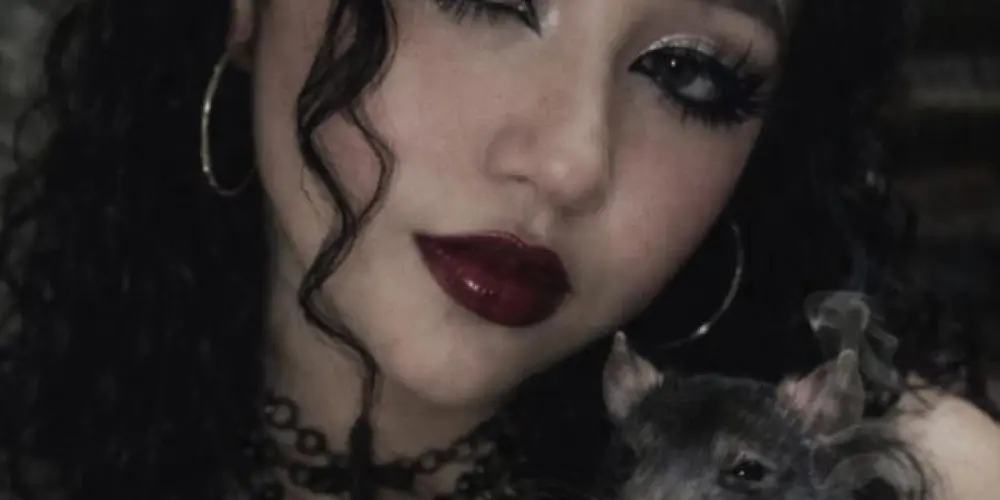 Imagem do grupo de WhatsApp 🏳️^ ♤ CHAØS THEORY 2 ♤ ^ 🏴