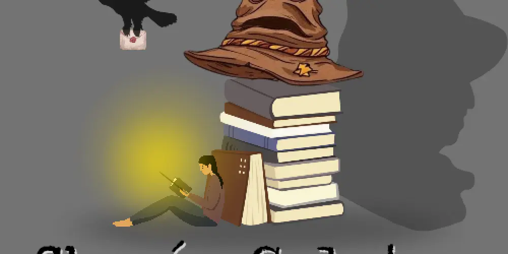 Imagem do grupo de WhatsApp Chapéu Seletor Academia Borealis