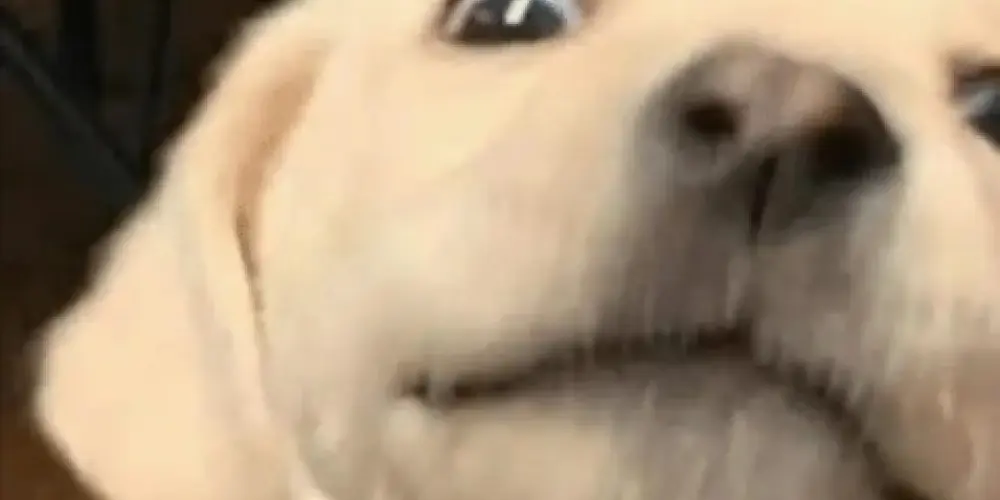 Imagem do grupo de WhatsApp ⚡ CHAT 24H ⚡