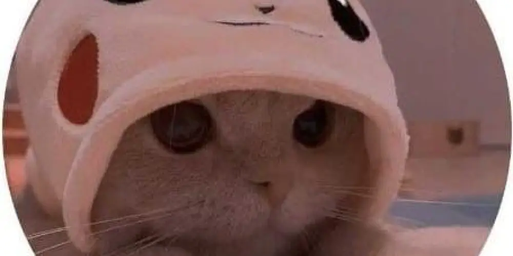 Imagem do grupo de WhatsApp CHAT 24H PRA FAZER AMIZADES💬