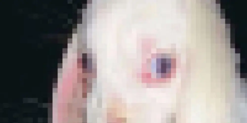 Imagem do grupo de WhatsApp Chat 3.0