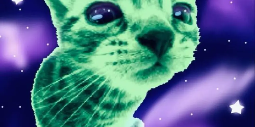 Imagem do grupo de WhatsApp ^. .^ ⟨Čhät!