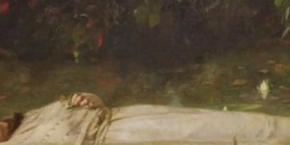 Imagem do grupo de WhatsApp Chat