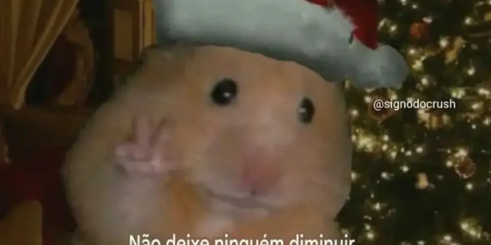 Imagem do grupo de WhatsApp Chat