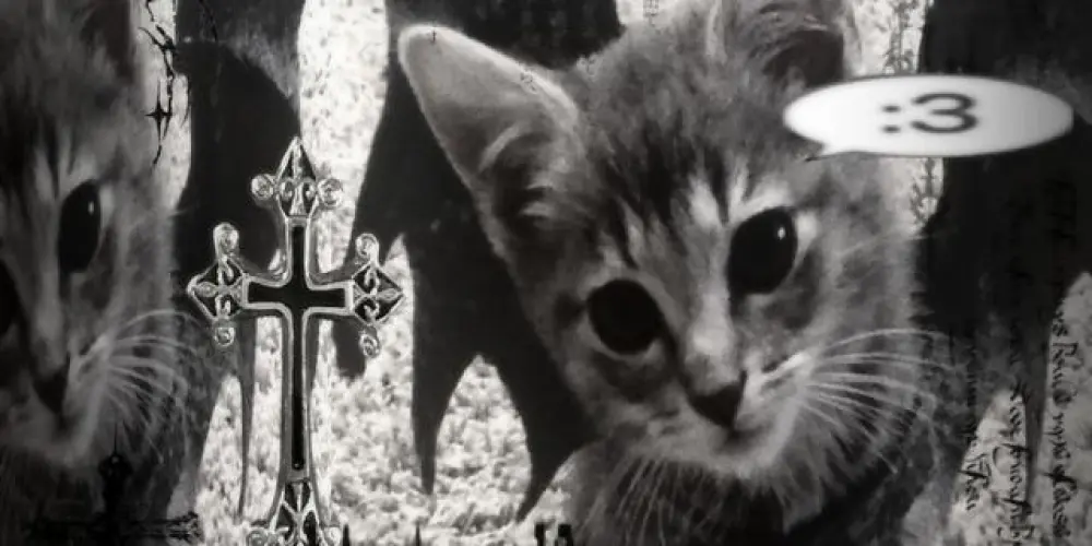 Imagem do grupo de WhatsApp Chat d' lala 📍