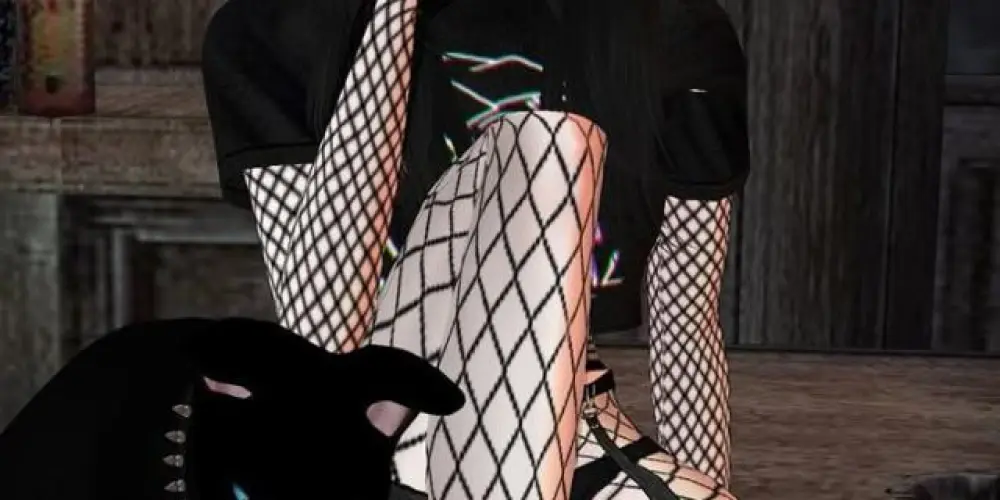 Imagem do grupo de WhatsApp Chat da Bella🎀