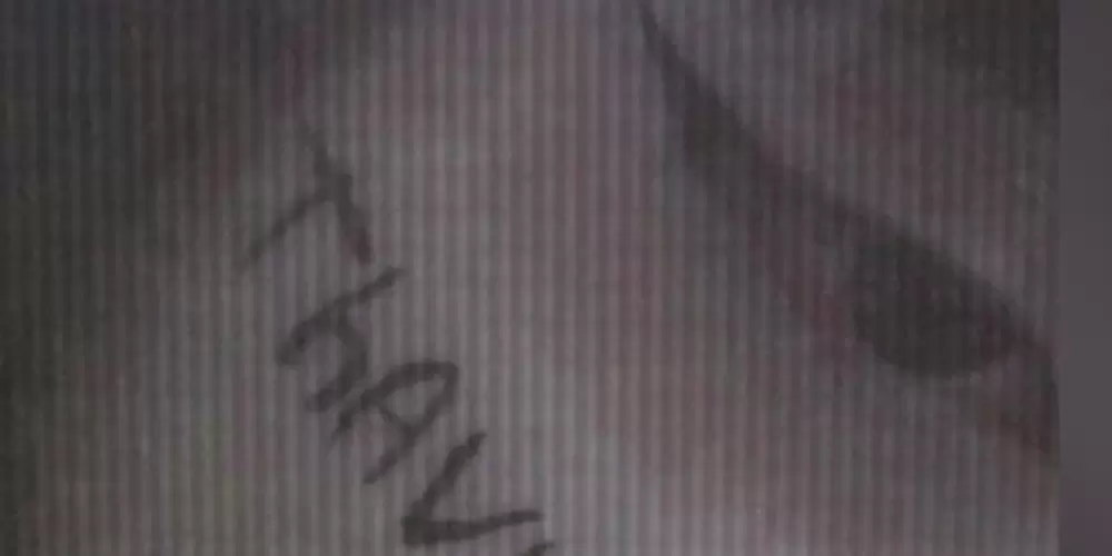 Imagem do grupo de WhatsApp chat da maju AHS e do thavisx