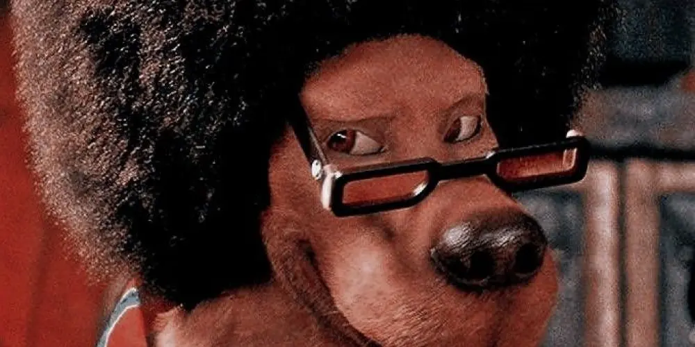 Imagem do grupo de WhatsApp Chat da Yasmin