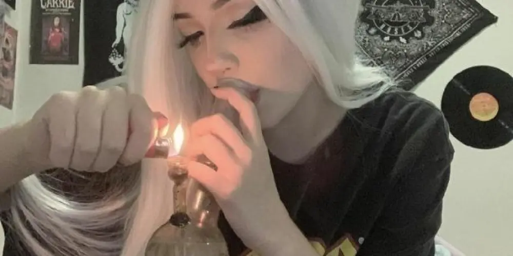 Imagem do grupo de WhatsApp Chat do caos🎭