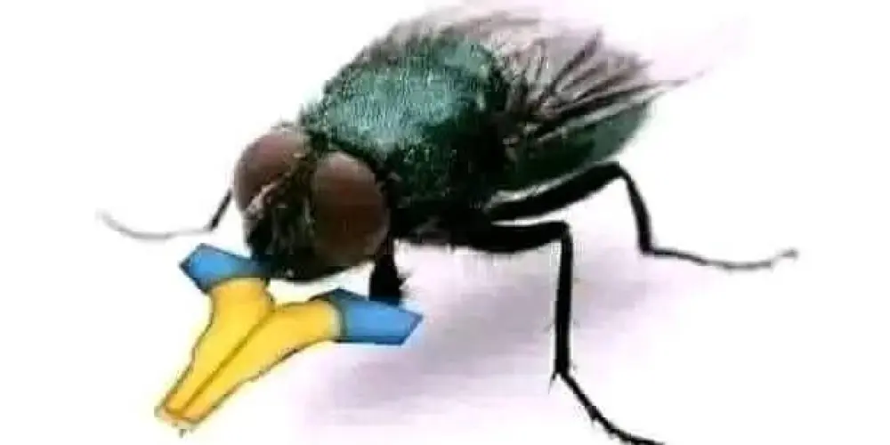 Imagem do grupo de WhatsApp Chat do Dms •_×