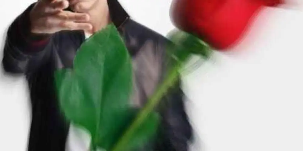 Imagem do grupo de WhatsApp chat do dn