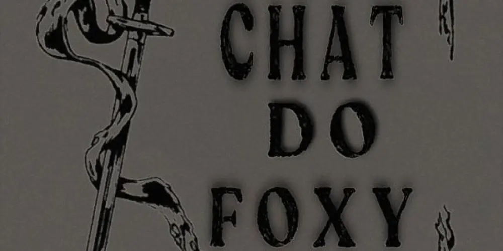 Imagem do grupo de WhatsApp Chat do Foxy🪽🖤