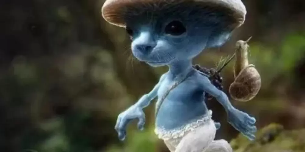 Imagem do grupo de WhatsApp CHAT DO MESSI 🌚😏🫡❤️