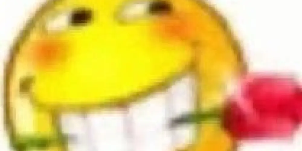 Imagem do grupo de WhatsApp chat do nando