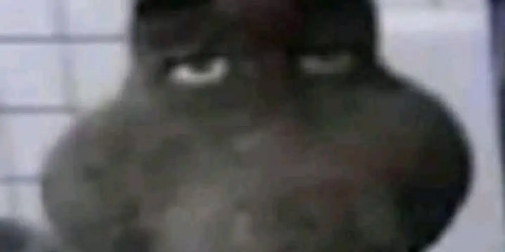 Imagem do grupo de WhatsApp CHAT É FIGURINHA