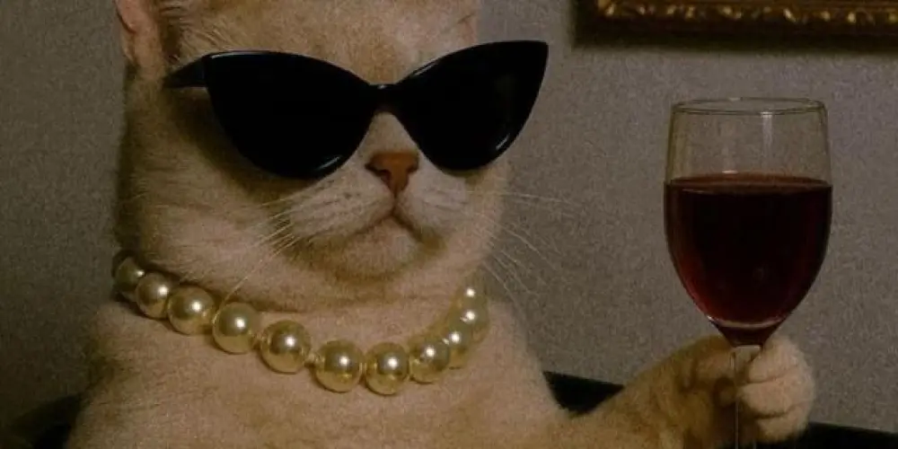 Imagem do grupo de WhatsApp CHAT E ZUEIRA 24HRS 😝