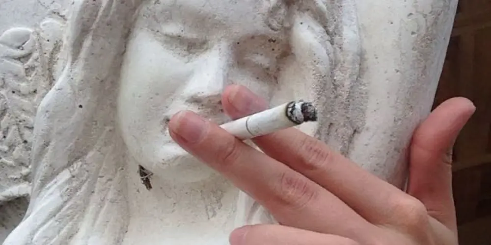 Imagem do grupo de WhatsApp chat evareni’