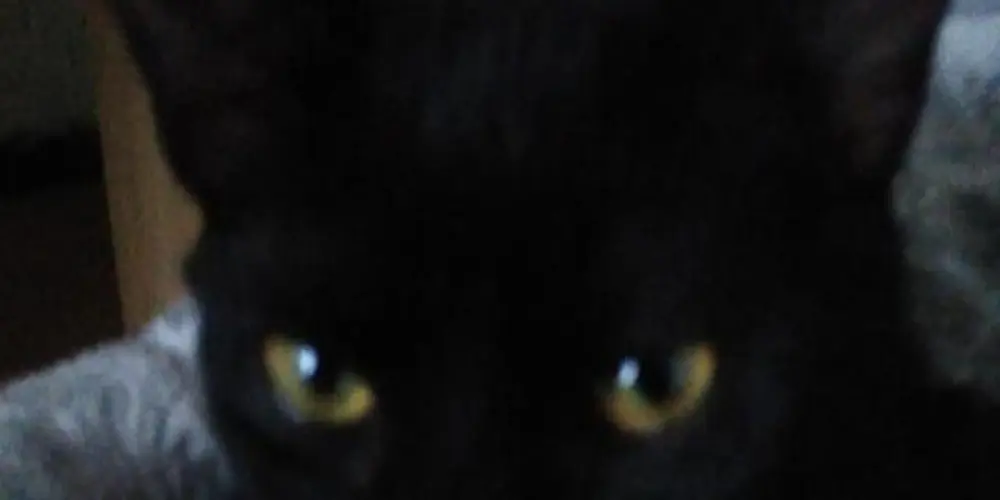 Imagem do grupo de WhatsApp Chat Geral