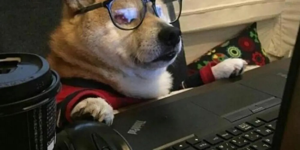 Imagem do grupo de WhatsApp 💬•Chat Geral