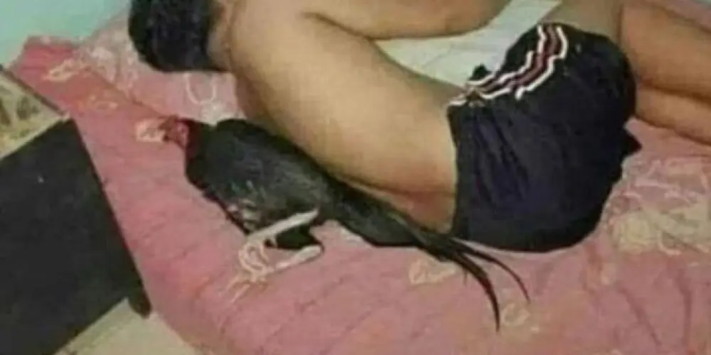 Imagem do grupo de WhatsApp CHAT LIBERADO