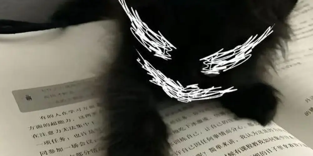 Imagem do grupo de WhatsApp ༄ᶦᶰᵈ᭄Chat Matrixᴾᴿᴼ ᭄