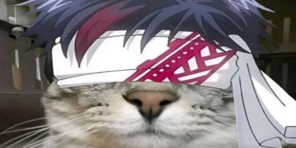 Imagem do grupo de WhatsApp Chat obscure