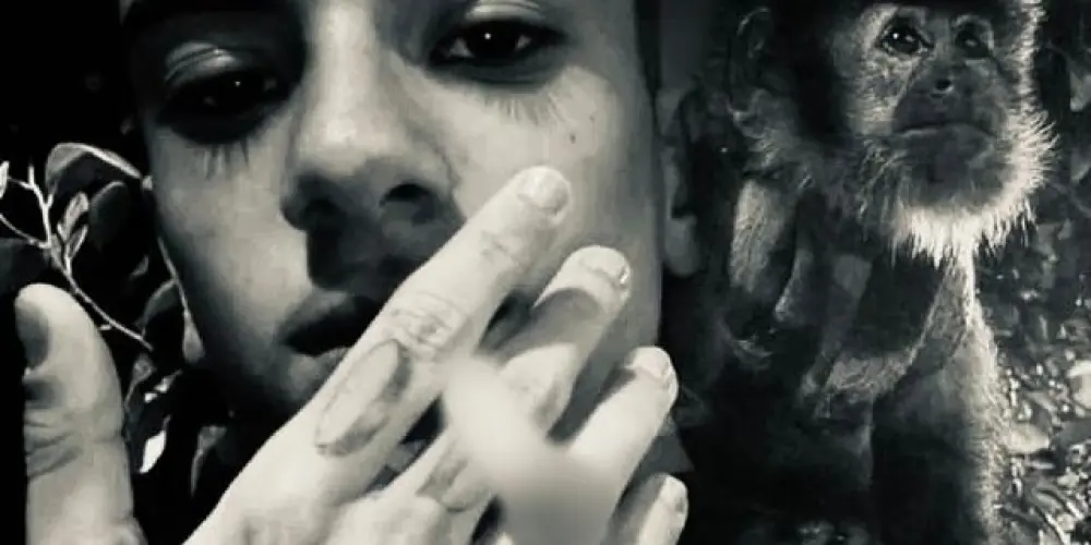 Imagem do grupo de WhatsApp chat¡ on`