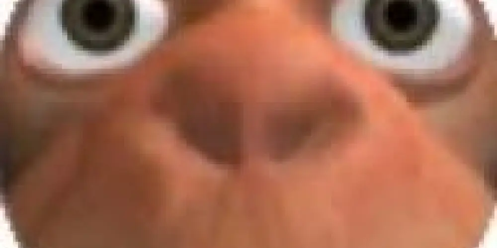 Imagem do grupo de WhatsApp chat pelados