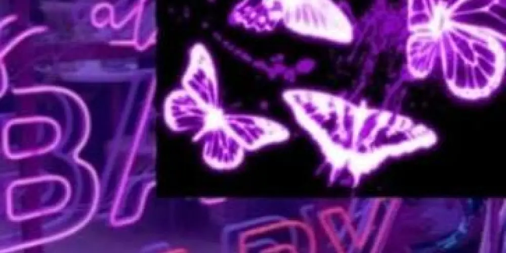 Imagem do grupo de WhatsApp 🐉✨ CHAT - S P L I N T E R ✨🐉