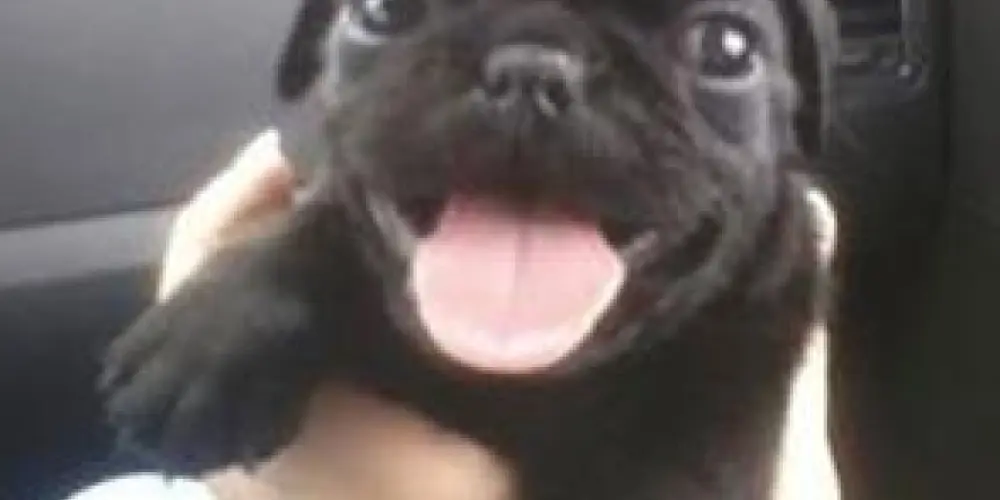 Imagem do grupo de WhatsApp chat someone