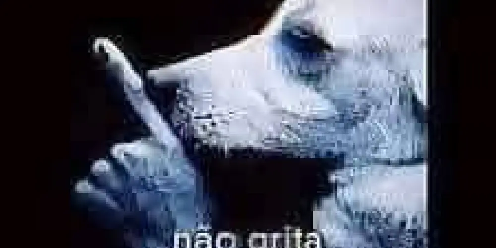 Imagem do grupo de WhatsApp CHAT WEB / ZOEIRA.