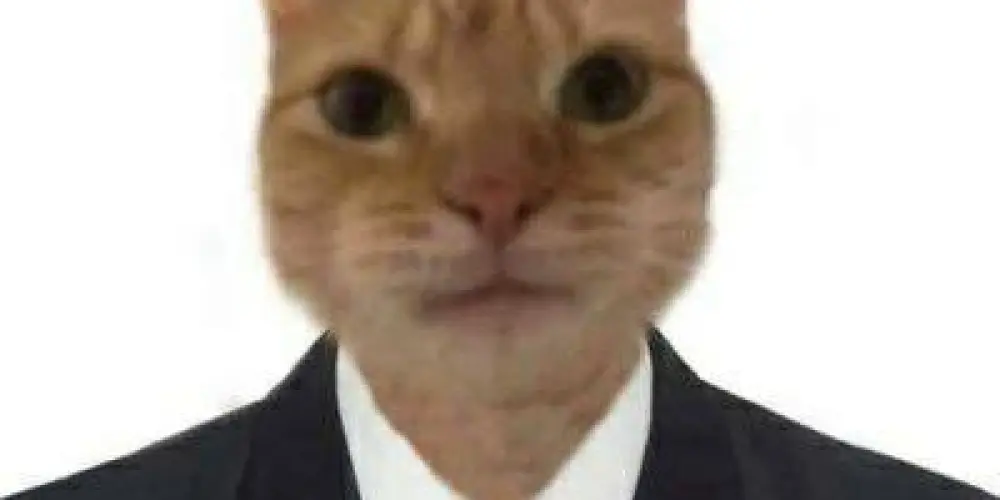 Imagem do grupo de WhatsApp *ːꦼ⬜͜͡:ꦿ CHATZINHO ːꦼ⬜:ꦿ*