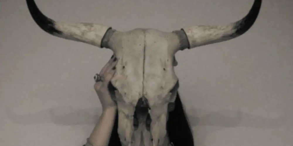 Imagem do grupo de WhatsApp Chifrudas fofas