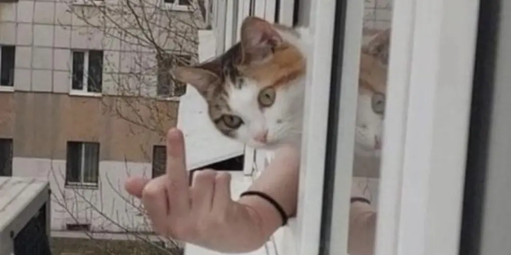 Imagem do grupo de WhatsApp ♥️🔥CHINGOTEO🔥♥️