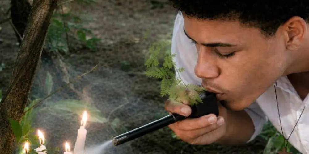 Imagem do grupo de WhatsApp Ciências do Axé🌿