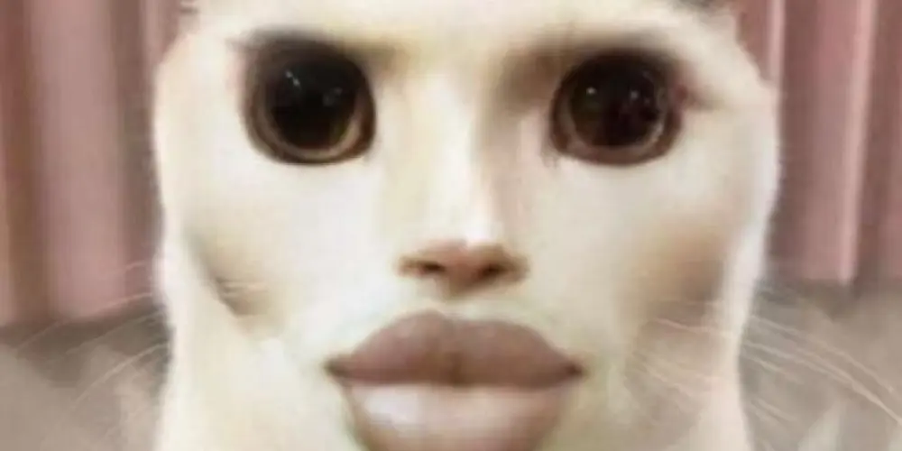 Imagem do grupo de WhatsApp Circo dos inocente