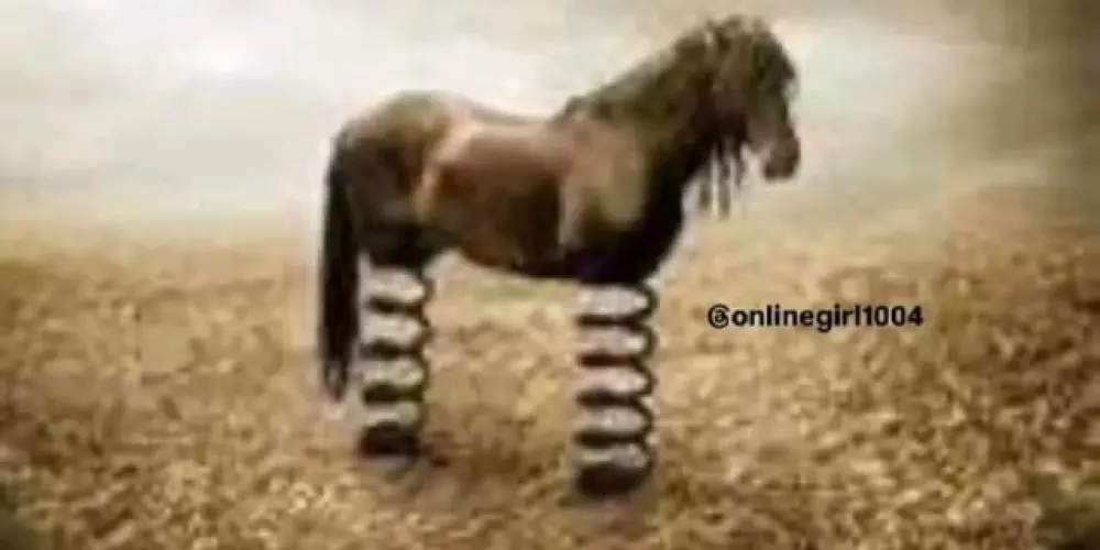 Imagem do grupo de WhatsApp Círculo aberto