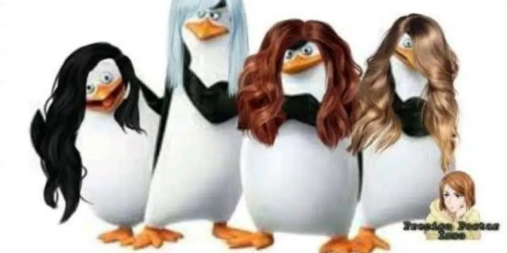 Imagem do grupo de WhatsApp 🚩☆CIRILHOS☆🚩