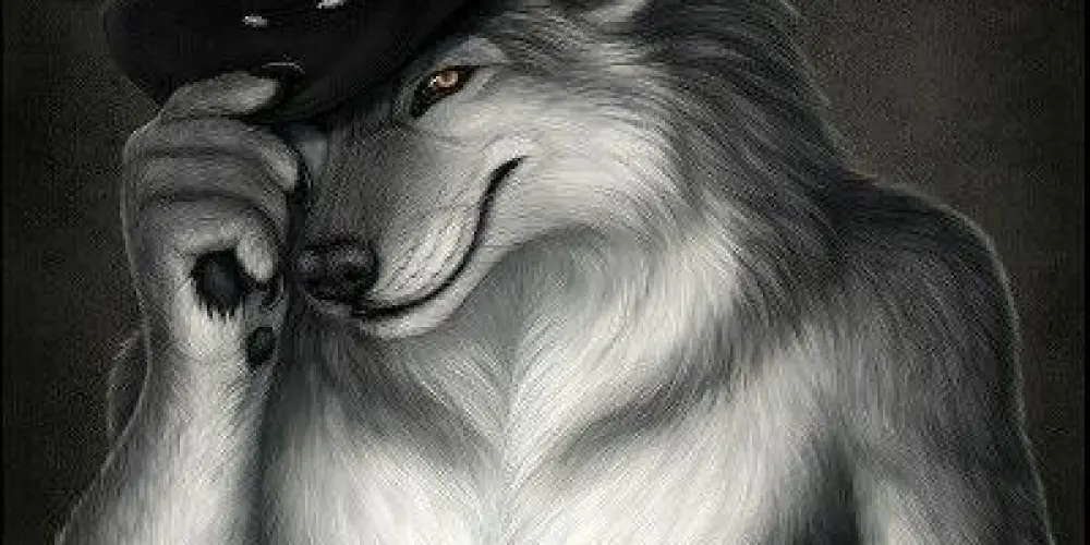 Imagem do grupo de WhatsApp Clã eclipse negra