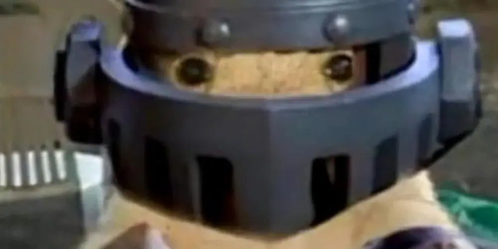 Imagem do grupo de WhatsApp Clash Royale