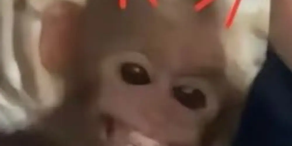 Imagem do grupo de WhatsApp Close friends