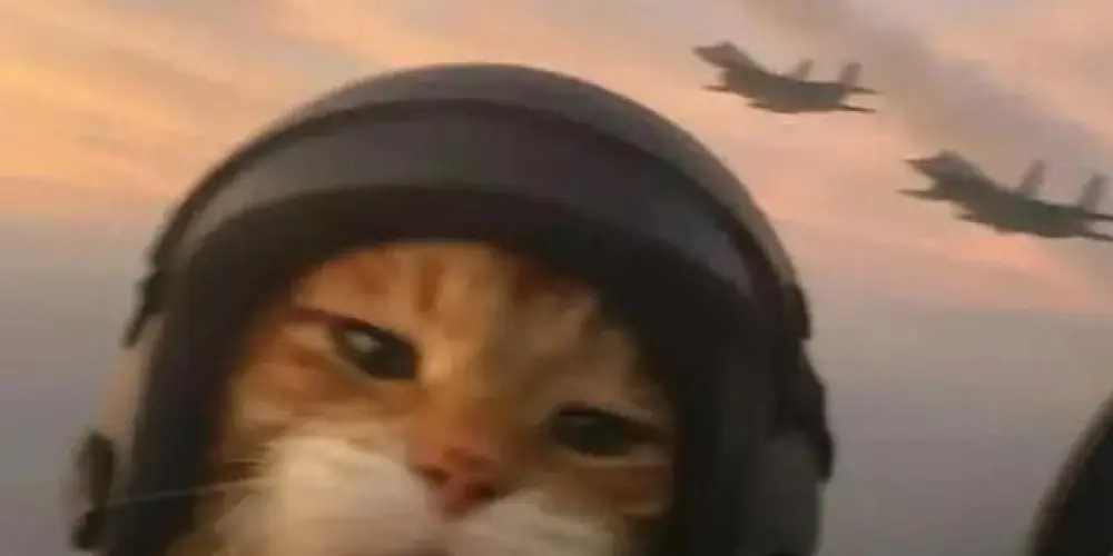 Imagem do grupo de WhatsApp Club AZILADOS! 🐸