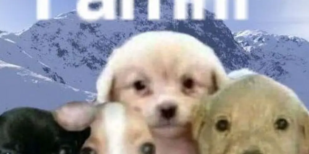 Imagem do grupo de WhatsApp Club de los sin vida social