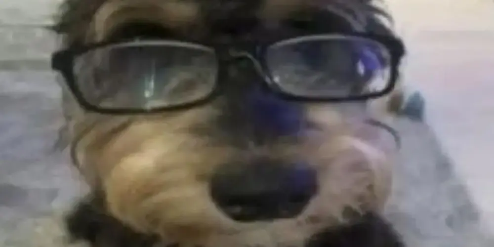 Imagem do grupo de WhatsApp club dos cuecas: 𝚏𝚒𝚛𝚜𝚝 𝚎𝚛𝚊 ☆