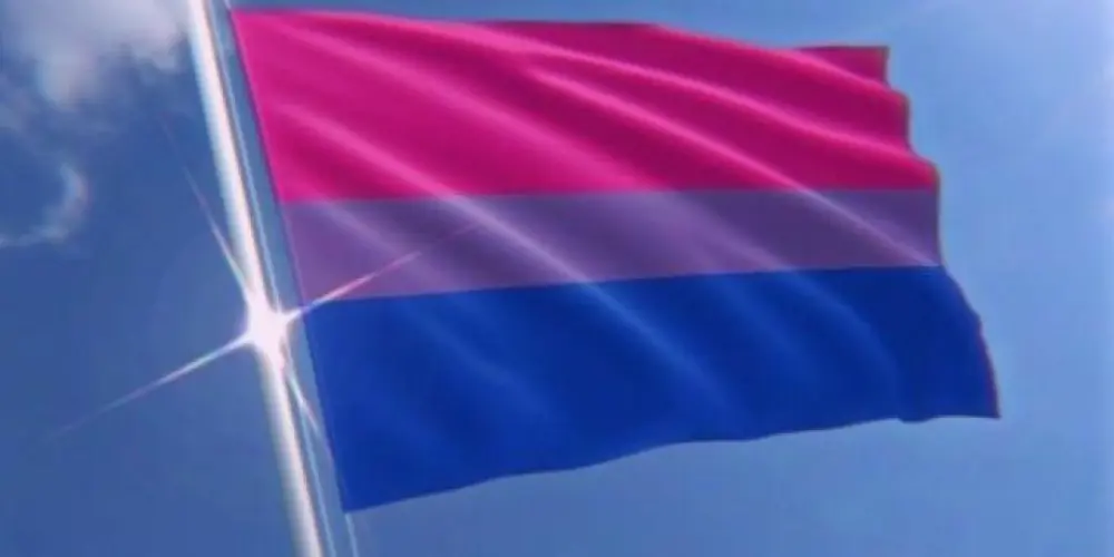 Imagem do grupo de WhatsApp Clube Bixessual