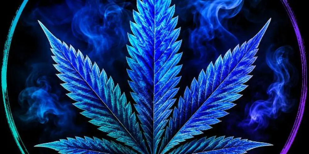 Imagem do grupo de WhatsApp Clube da folha 🍁🔥
