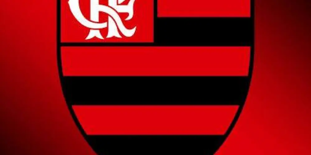 Imagem do grupo de WhatsApp Clube de Regatas do Flamengo